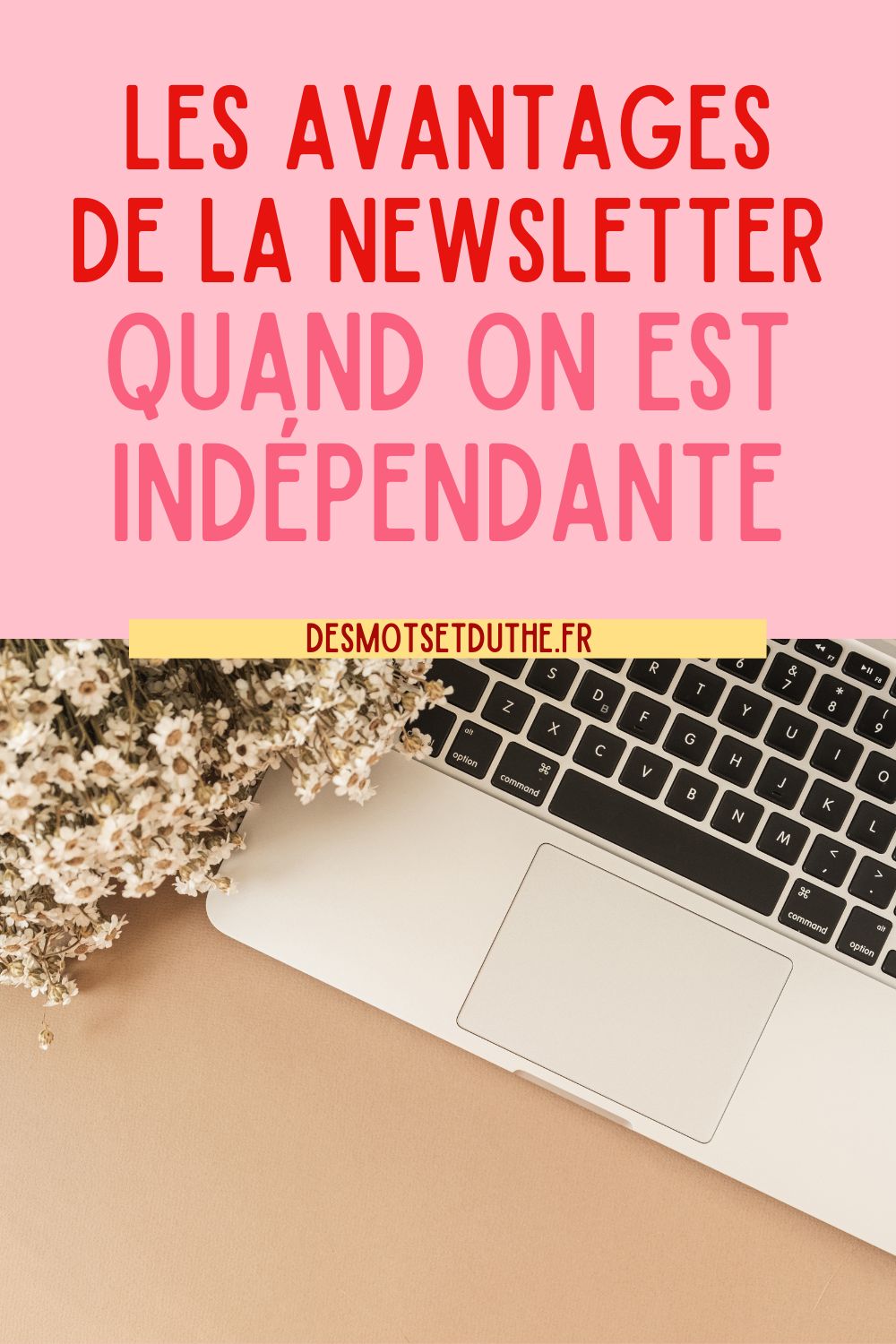 Les avantages de la newsletter quand on indépendante ou blogueuse