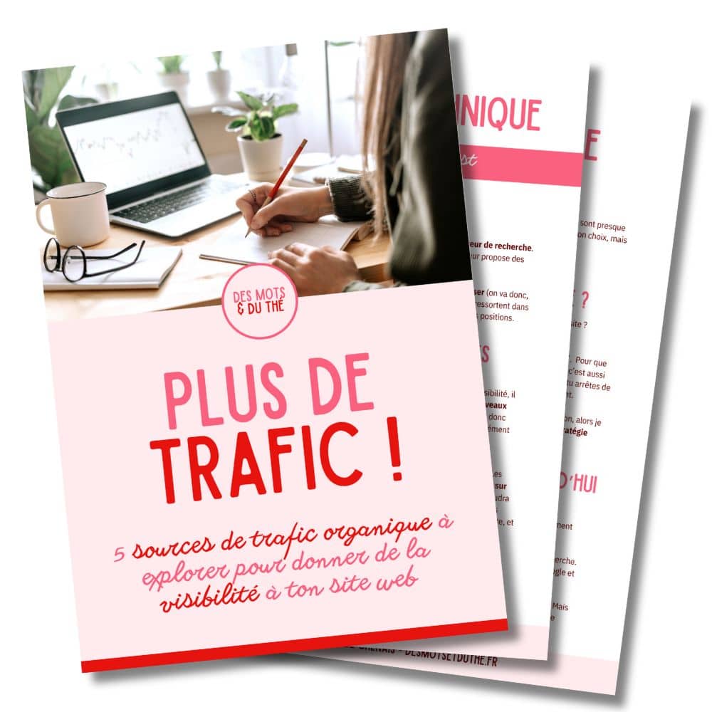 Guide acquisition trafic web