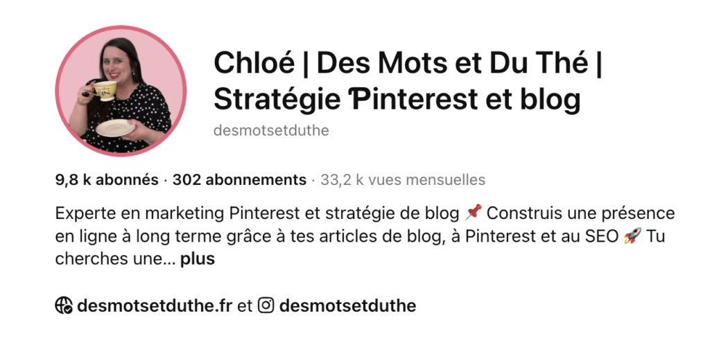 Aperçu de la bio d'un profil Pinterest